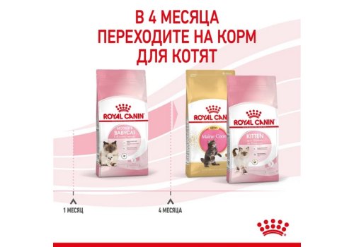 Royal Canin Mother & Babycat / Сухой корм Роял Канин Бэйбикэт для Котят в возрасте от 1 до 4 месяцев