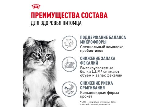 Royal Canin Digestive Care / Сухой корм Роял Канин Дайджестив Кэа для кошек с Расстройствами пищеварения