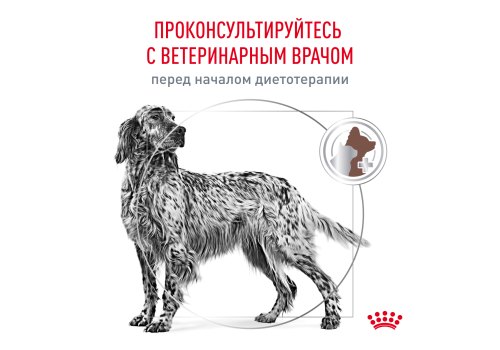 Royal Canin Hepatic HF16 / Ветеринарный сухой корм Роял Канин Гепатик для собак Заболевание печени Пироплазмоз