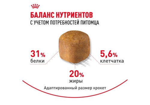 Royal Canin Breed cat Maine Coon / Сухой корм Роял Канин для Взрослых кошек породы Мэйн Кун старше 15 месяцев