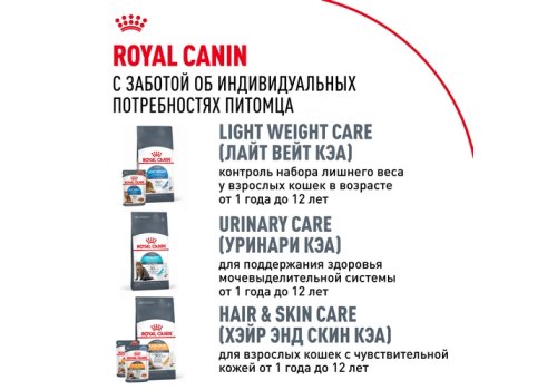 Royal Canin Breed cat Maine Coon / Сухой корм Роял Канин для Взрослых кошек породы Мэйн Кун старше 15 месяцев