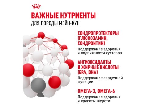 Royal Canin Breed cat Maine Coon / Сухой корм Роял Канин для Взрослых кошек породы Мэйн Кун старше 15 месяцев