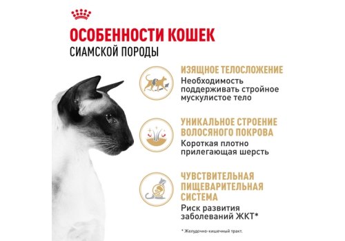 Royal Canin Breed cat Siamese / Сухой корм Роял Канин для взрослых кошек Сиамской породы старше 1 года
