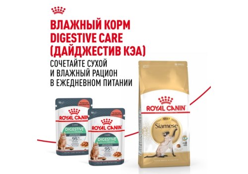 Royal Canin Breed cat Siamese / Сухой корм Роял Канин для взрослых кошек Сиамской породы старше 1 года