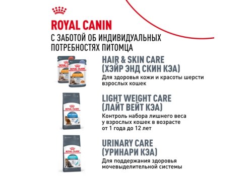 Royal Canin Breed cat Siamese / Сухой корм Роял Канин для взрослых кошек Сиамской породы старше 1 года