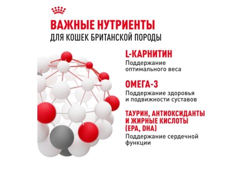 Royal Canin Breed cat British Shorthair / Сухой корм Роял Канин для Взрослых кошек породы Британская короткошерстная