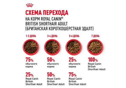 Royal Canin Breed cat British Shorthair / Сухой корм Роял Канин для Взрослых кошек породы Британская короткошерстная