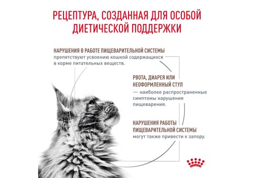 Royal Canin Gastrointestinal Fibre Response / Ветеринарный сухой корм Роял Канин Фибр Респонс для кошек Нарушения пищеварения (запоры)