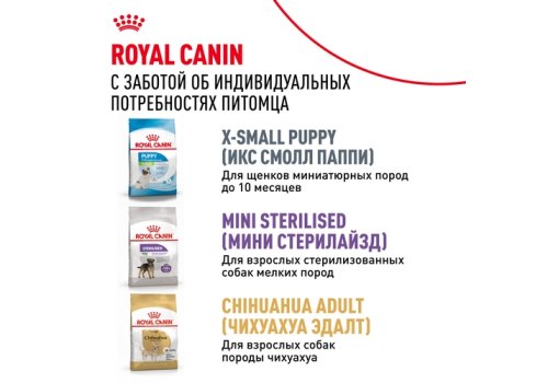 Royal Canin X-Small Adult / Сухой корм Роял Канин Икс-Смолл Эдалт для Взрослых собак мелких пород