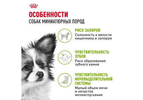 Royal Canin X-Small Adult / Сухой корм Роял Канин Икс-Смолл Эдалт для Взрослых собак мелких пород