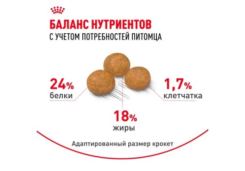 Royal Canin X-Small Adult / Сухой корм Роял Канин Икс-Смолл Эдалт для Взрослых собак мелких пород