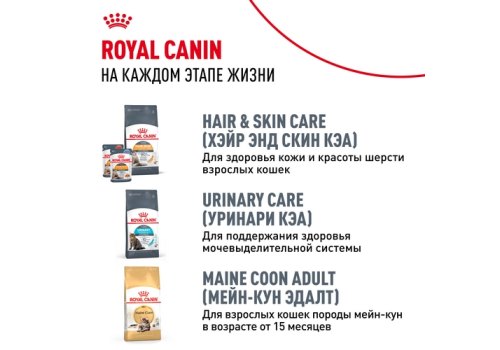 Royal Canin Breed cat Kitten Maine Coon / Сухой корм Роял Канин для Котят породы Мэйн Кун в возрасте до 15 месяцев