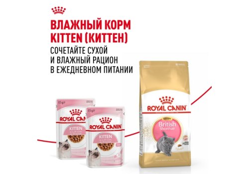 Royal Canin Breed cat Kitten British Shorthair / Сухой корм Роял Канин для Котят породы Британская короткошерстная в возрасте от 4 до 12 месяцев