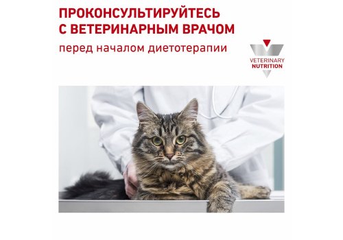 Royal Canin Renal with Fish / Ветеринарный влажный корм (Консервы-Паучи) Роял Канин Ренал для кошек для поддержания функции почек с Рыбой (цена за упаковку)