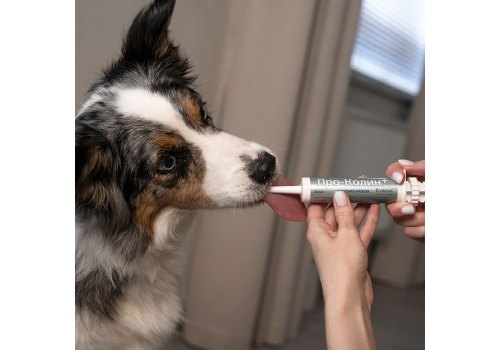 Protexin Pro-Kolin+ / Пробиотик Проколин для коррекции расстройств пищеварительной системы собак и кошек