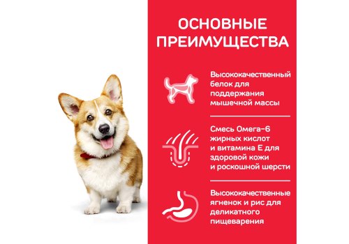 Hills Science Plan Small & Mini Adult Lamb & Rice / Сухой корм Хиллс для взрослых собак Мелких пород Ягненок рис