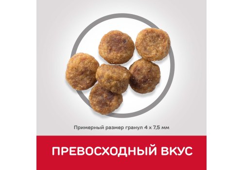 Hills Science Plan Small & Mini Adult Lamb & Rice / Сухой корм Хиллс для взрослых собак Мелких пород Ягненок рис