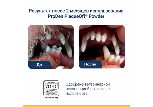 ProDen PlaqueOff / Средство Проден ПлагОфф для профилактики зубного камня у кошек