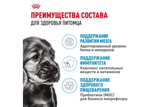 Royal Canin Mini Puppy / Сухой корм Роял Канин Мини Паппи для Щенков Мелких пород в возрасте от 2 до 10 месяцев