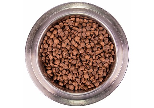 Monge Dog BWild Grain Free Puppy Duck / Сухой Беззерновой корм Монж Бивайлд для Щенков Утка картофель