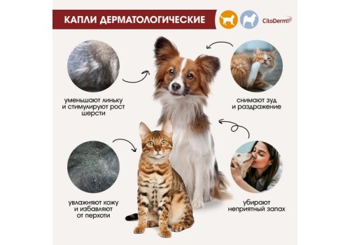 CitoDerm / Капли Цитодерм Дерматологические для кошек и собак весом до 10 кг