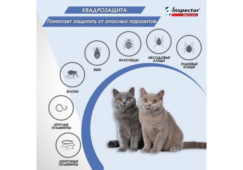 Inspector Quadro К / Капли Инспектор от Внешних и Внутренних паразитов для кошек весом от 1 до 4 кг