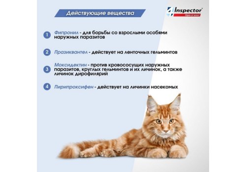 Inspector Quadro К / Капли Инспектор от Внешних и Внутренних паразитов для кошек весом от 1 до 4 кг