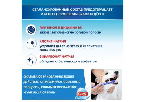 Cliny / Жидкость Клини с ионами Серебра для полости рта "Жидкая Зубная щетка"
