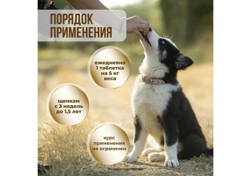 Unitabs JuniorComplex / Витаминно-минеральный комплекс Юнитабс для Щенков