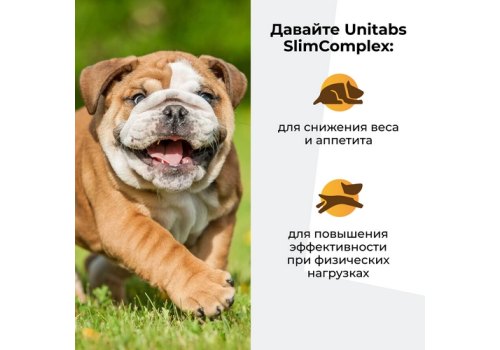 Unitabs Slim Complex UT c Q10 / Витаминно-минеральный комплекс Юнитабс для собак с L-карнитином