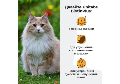 Unitabs BiotinPlus с Q10 / Витаминно-минеральный комплекс Юнитабс для кошек с Биотином и Таурином