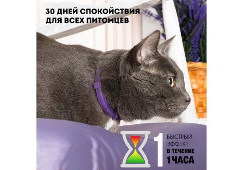 Relaxivet / Ошейник Успокоительный Релаксивет для кошек и собак Мелких пород при Стрессах Страхах и Возбуждении