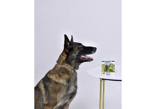 АгроВетЗащита Барс / Ошейник Инсектоакарицидный для собак Крупных пород 80см