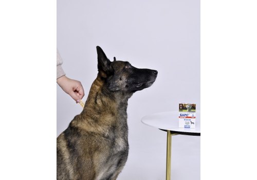 АгроВетЗащита Барс Форте / Капли Инсектоакарицидные для собак от блох, вшей, власоедов, чесоточных и иксодовых клещей