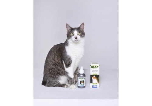 АгроВетЗащита Барс / Спрей Инсектоакарицидный для кошек