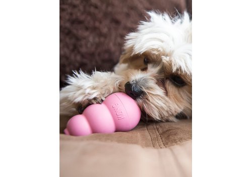 Kong Puppy Classic / Игрушка Конг для Щенков Цвета: розовый, голубой (указывайте цвет в комментарии к заказу)