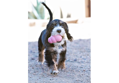 Kong Puppy Classic / Игрушка Конг для Щенков Цвета: розовый, голубой (указывайте цвет в комментарии к заказу)