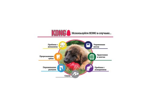 Kong Puppy Classic / Игрушка Конг для Щенков Цвета: розовый, голубой (указывайте цвет в комментарии к заказу)