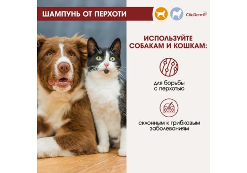 CitoDerm / Шампунь Цитодерм для кошек и собак от Перхоти