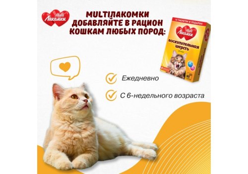 Multi Лакомки / Витаминное лакомство Мульти Лакомки для кошек Восхитительная шерсть