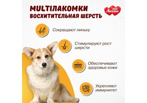 Multi Лакомки / Витаминное лакомство Мульти Лакомки для собак Восхитительная шерсть