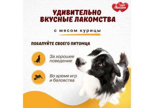 Multi Лакомки / Витаминное лакомство Мульти Лакомки для собак Восхитительная шерсть
