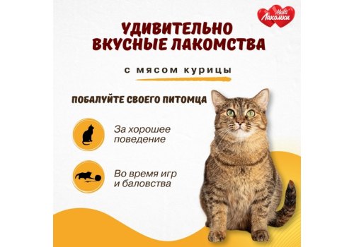 Multi Лакомки / Витаминное лакомство Мульти Лакомки для кошек Активный питомец