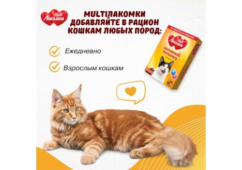 Multi Лакомки / Витаминное лакомство Мульти Лакомки для кошек Активный питомец