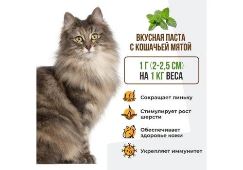 Unitabs BiotinPlus с Q10 paste / Витаминно-минеральная паста Юнитабс для кошек с Биотином и Таурином