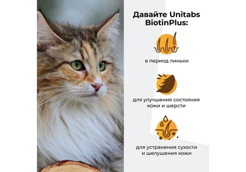 Unitabs BiotinPlus с Q10 paste / Витаминно-минеральная паста Юнитабс для кошек с Биотином и Таурином