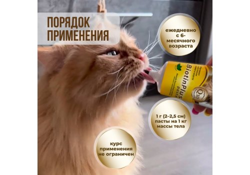 Unitabs BiotinPlus с Q10 paste / Витаминно-минеральная паста Юнитабс для кошек с Биотином и Таурином