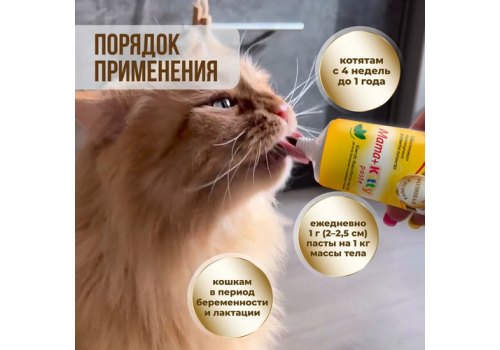 Unitabs Mama+Kitty paste / Витаминно-минеральная паста Юнитабс для Котят и беременных и кормящих кошек c Фолиевой кислотой