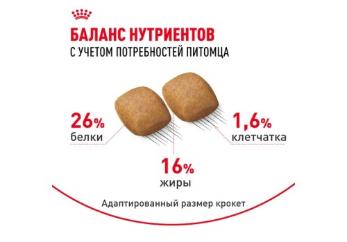 Royal Canin Breed dog Pomeranian Adult / Сухой корм Роял Канин для взрослых собак породы Померанский Шпиц от 8 месяцев и старше