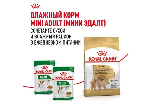 Royal Canin Breed dog Pomeranian Adult / Сухой корм Роял Канин для взрослых собак породы Померанский Шпиц от 8 месяцев и старше